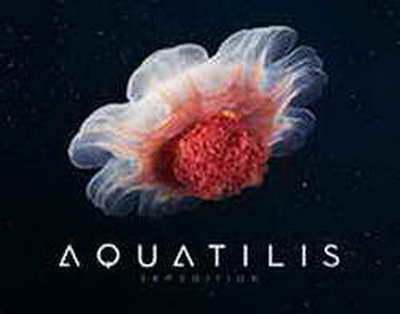 YOSHLARIMIZ SAFARDA DURANG NATIJA QAYD ETISHDI